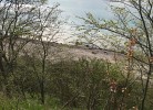 Feha 30 'Ferienhaus Delphin' in ruhiger Lage