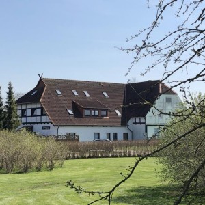 Fewo 71 'Kleine 1 Raumwohnung in Roggow'