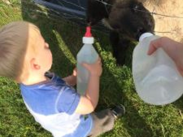 Fewo 13 'Ferienwohnung Ziegenheim auf dem Bauernhof'