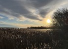 Fewo 220 'MeerLicht'