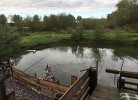 Blick auf den Teich